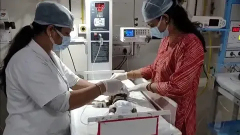 Newborn Buried Living in the Country Fights for Survival