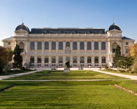 Priceless Gold Specimens Taken in Bold Heist at France's National Institution