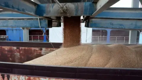 The nation Faces Worst Dry Spell in Generations, Forcing Countless People Toward the Brink